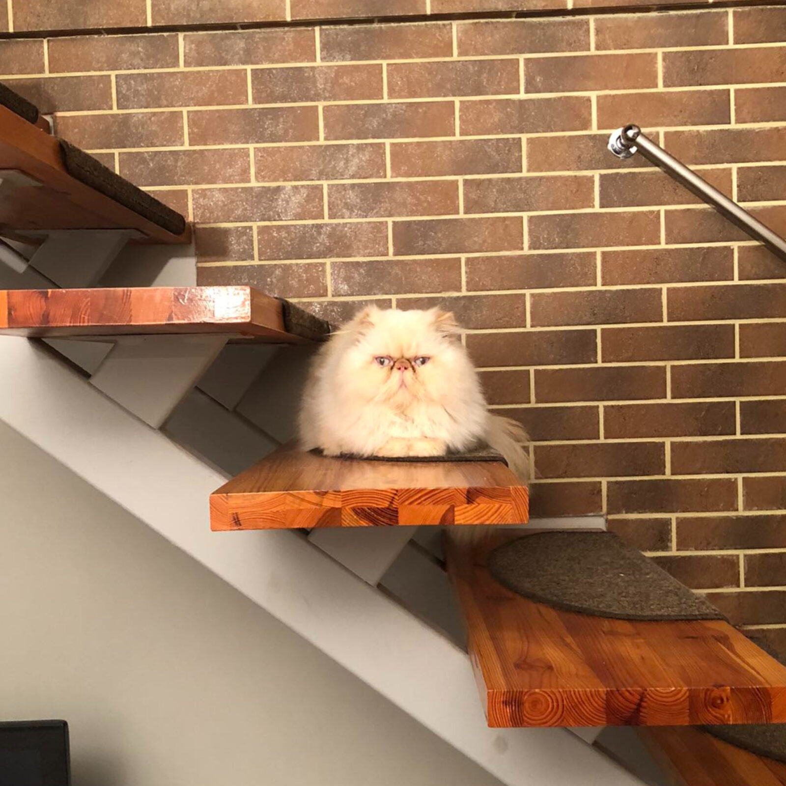 370279459_1072188584143005_8789813075270157046_n (1)